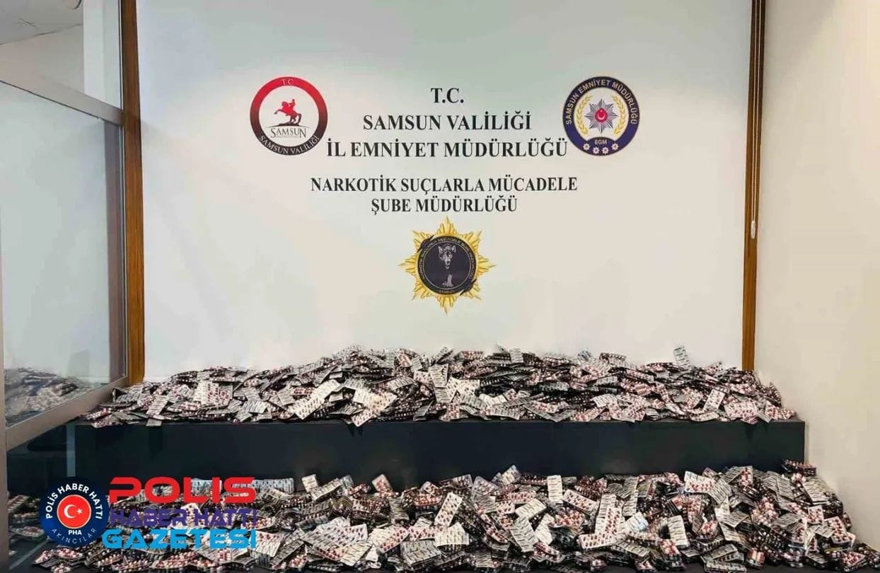 WhatsApp Image 2026-02-16 at 13.51.17