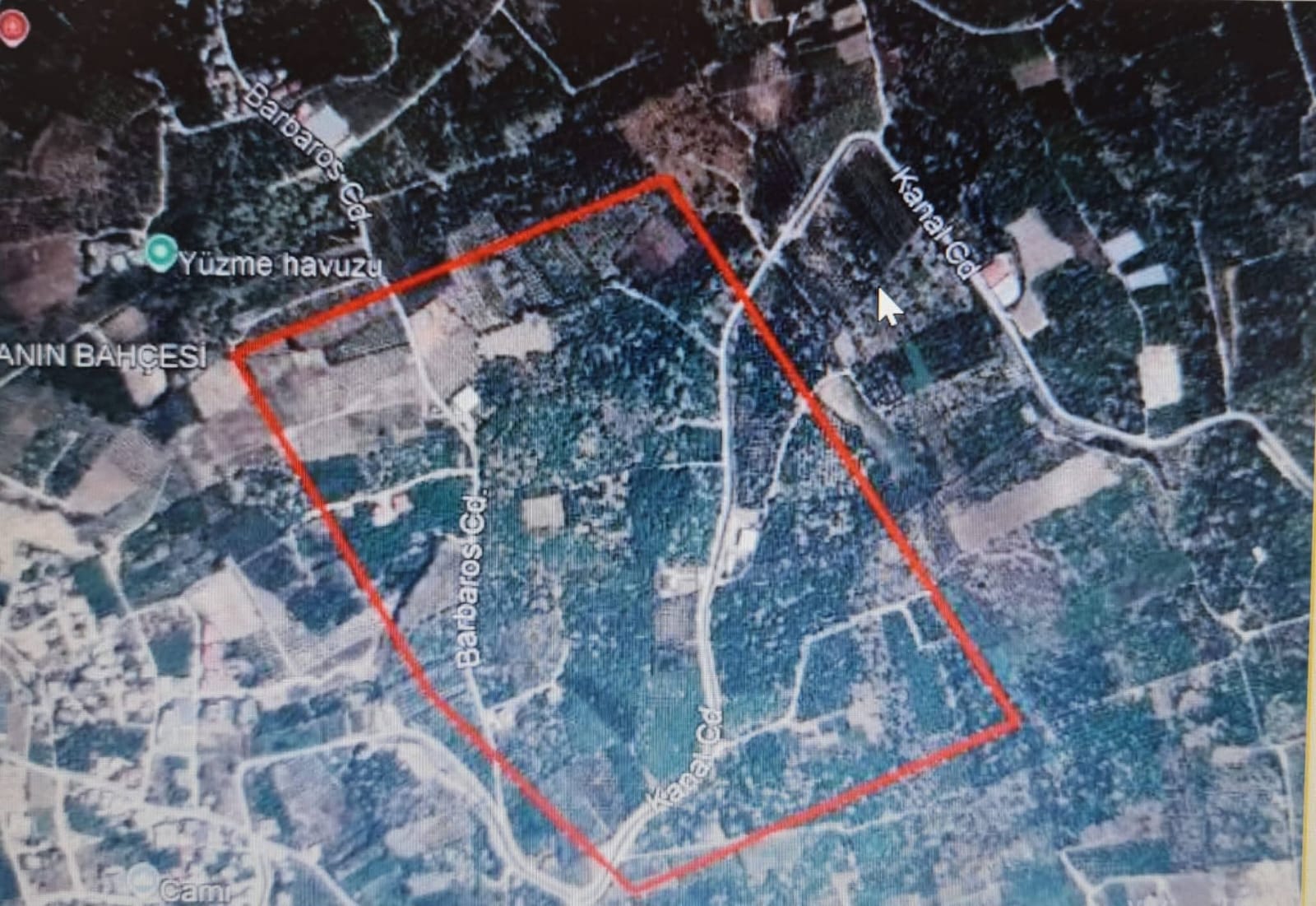 Davultepe’nin Narenciye Bahçeleri Tehdit Altında: Plan Değişikliği Askıya Çıkarıldı